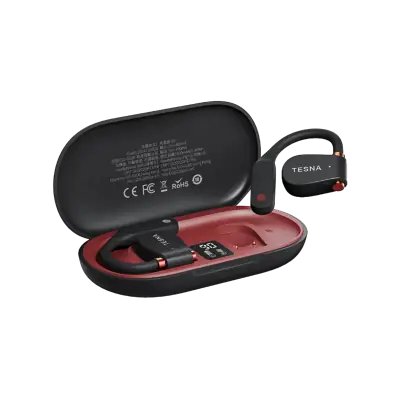 G100