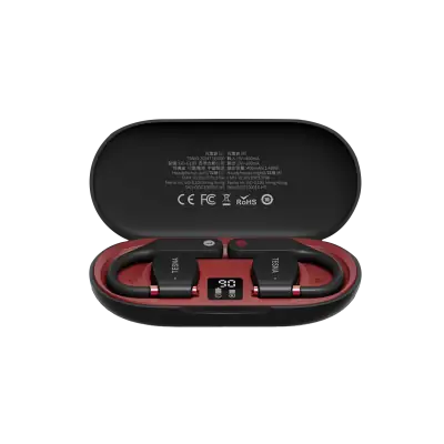 G100